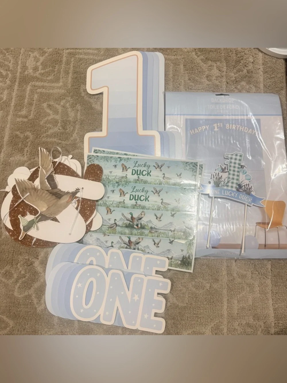 One Lucky Duck First Birthday Party Decorations